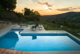 fringuello - Mandorlo - 1