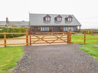The Donkey Shed - 8