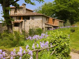 Apartment Villa Grassina-1 by Interhome - Pelago - 3
