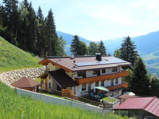 Apartment Anita-2 by Interhome - Zellberg - 0