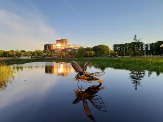 Short Stay Wageningen - 2