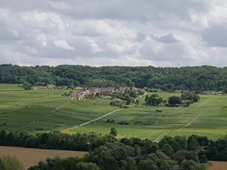 le Domaine de L étang Le Merger - Oeuilly - 4