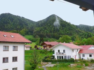 Apartment Bibelöd-7 by Interhome - Ruhpolding - 6