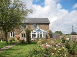 Grazeland Cottage - Bridport - 0