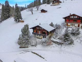 Apartment Jungfrau a d Ledi-1 by Interhome - 6