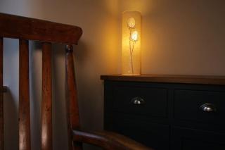 Riverside cottage walking distance into Caernarfon - 3