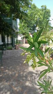 Svájci Lak Panzió - 3