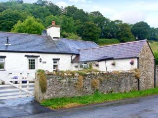 Gorrig Bwthyn - Tre-groes - 0