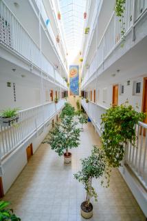 Apartamentos Avenida - Benidorm - 7