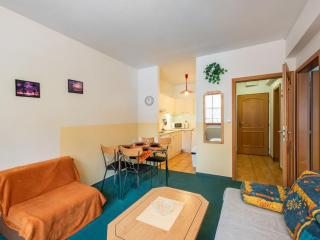 Apartment Lanovka-7 by Interhome - 8