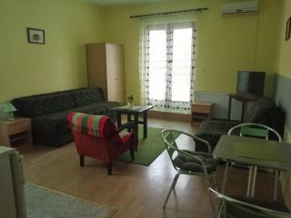 Apartments Hadži - Soko Banja - 2