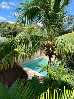 Tua Tulum Apartments large and comfortable with swimming pool - Tulum - 3