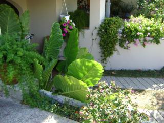 Apartments Radulović - Biograd na Moru - 6