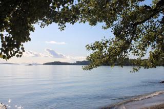 Dassia Beach Hotel - 5