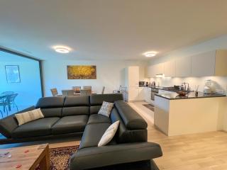Lavish 4.5 rooms furnished apartment @Glattbrugg - 7