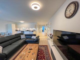 Lavish 4.5 rooms furnished apartment @Glattbrugg - Glattbrugg - 6