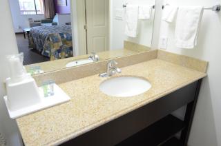 Sterling Inn and Suites at Reliant and Medical Center Houston - Houston - 8