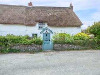 Bee Hive Cottage - Morwenstow - 0