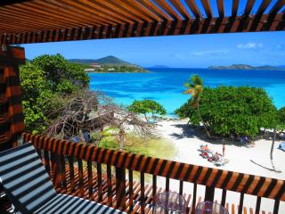 Luxury Beachfront Duplex Villa on Sapphire Beach I - - 3