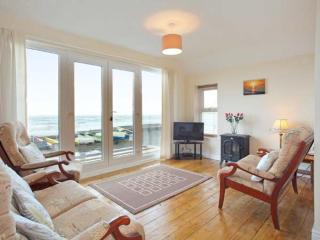 Trysor Y Mor - Borth - 7