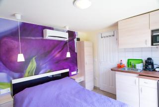 Orgona Apartman- és Nyaralóház - 1