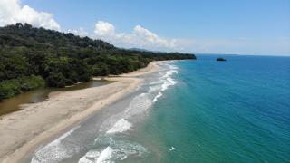 Beachfront Villa, Abundant Wildlife, Best Location - 9