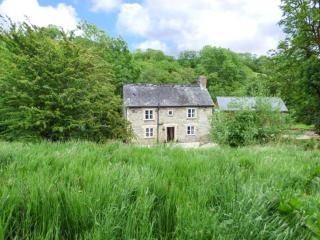 Ploony Cottage - 0