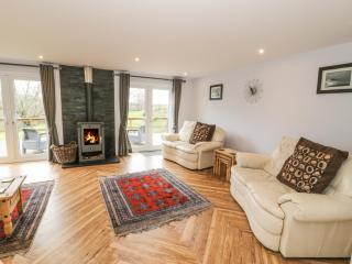 Nant Y Felin Lodge - 8