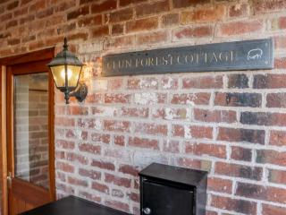 Clun Forest Cottage - 8