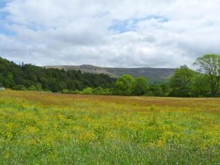 The Gatehouse - Leyburn - 1