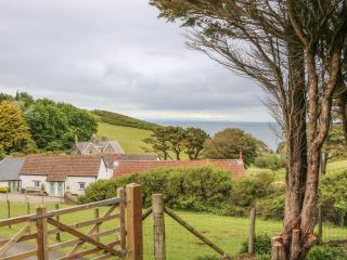Wren Cottage - Ilfracombe - 0