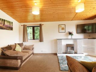 Willow Lodge - Falmouth - 8