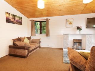 Willow Lodge - Falmouth - 5