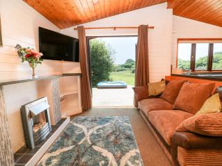 Willow Lodge - Falmouth - 2