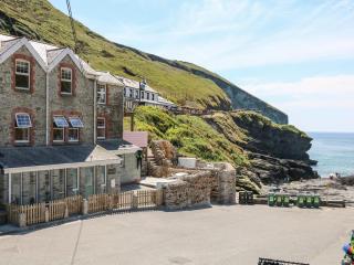 Gull Rock - Tintagel - 0