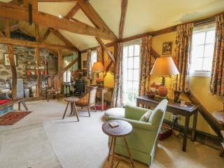 Dolgenau Hir - The Barn - 4