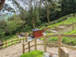 Little Silver Owl - High Bickington - 9