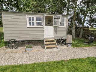 Bellwether - York - 8
