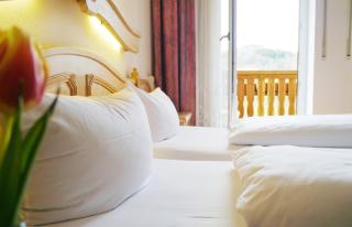 Landgasthof Zum Hirschen - 1