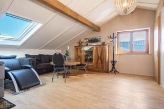 Luxuriöses Penthouse-appartement - Höchst - 7