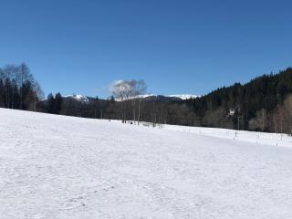 Gästehaus Lickert Familie Dreher - Hinterzarten - 2