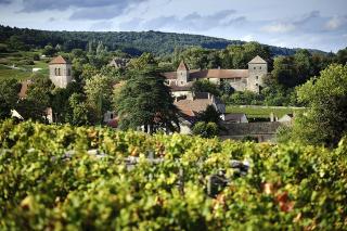 Le Richebourg - Charmant T2 Cosy, tout confort - Gevrey-Chambertin - 3