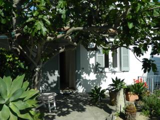 Casa Ischia - Ischia - 2