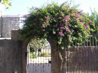 Casa Ischia - Ischia - 6