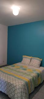 Le petit cactus - Bras-Panon - 3