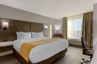 Comfort Inn - Jonesboro - 5
