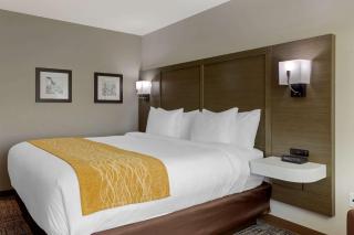 Comfort Inn - Jonesboro - 4
