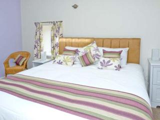 Chimney Gill - Sebergham - 3