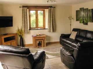 Tyn Y Celyn Canol - Clocaenog - 7