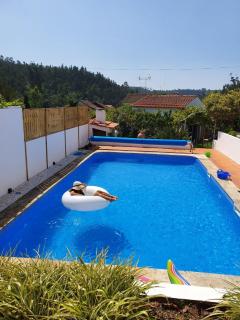 Citrus Tree House, private pool and garden. - Angeja - 0